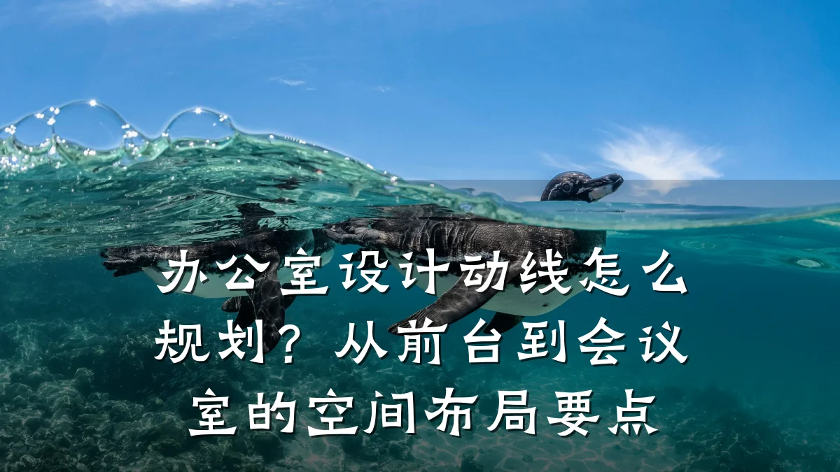 办公室设计动线怎么规划?从前台到会议室的空间布局要点