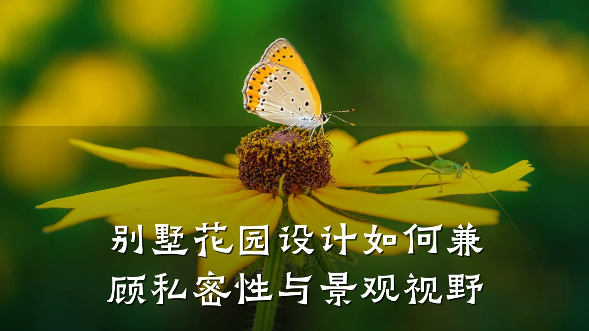 别墅花园设计如何兼顾私密性与景观视野