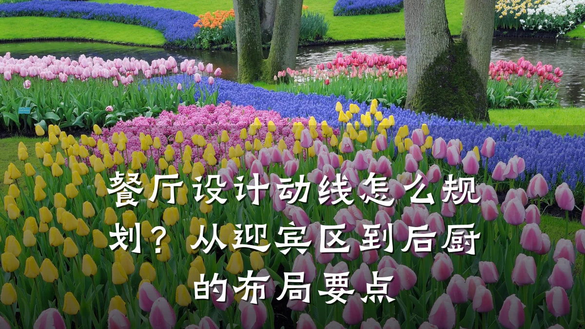 餐厅设计动线怎么规划?从迎宾区到后厨的布局要点