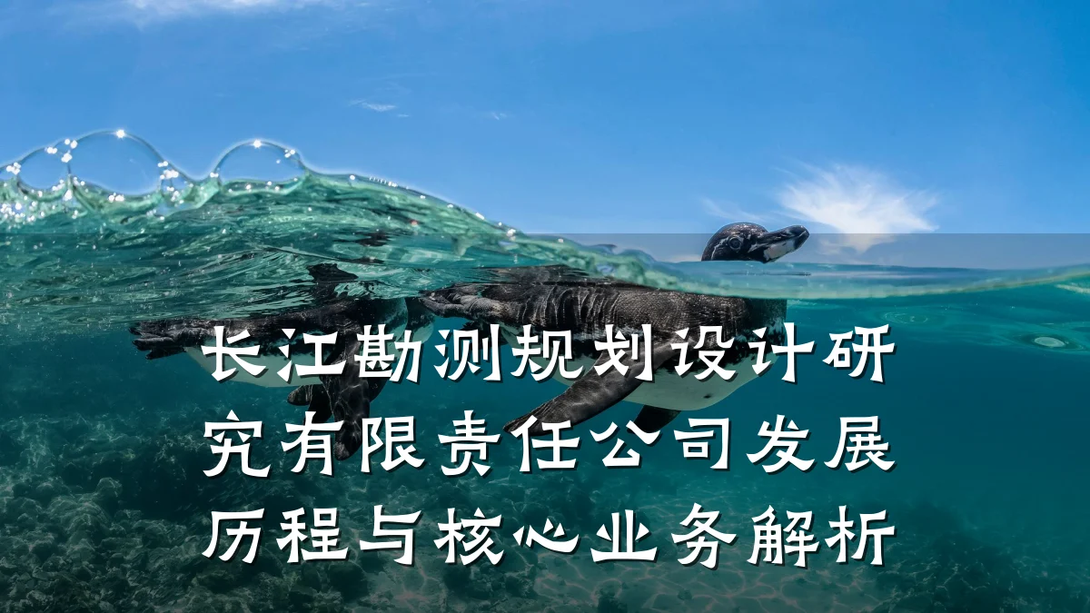 长江勘测规划设计研究有限责任公司发展历程与核心业务解析