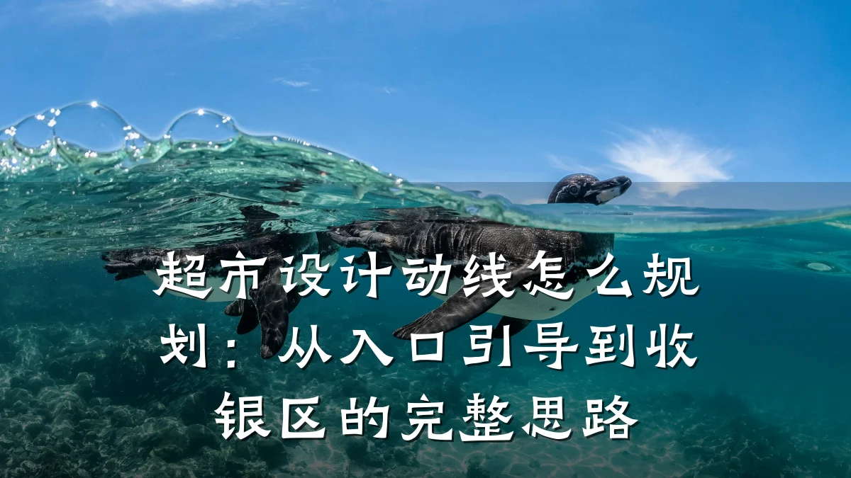 超市设计动线怎么规划:从入口引导到收银区的完整思路