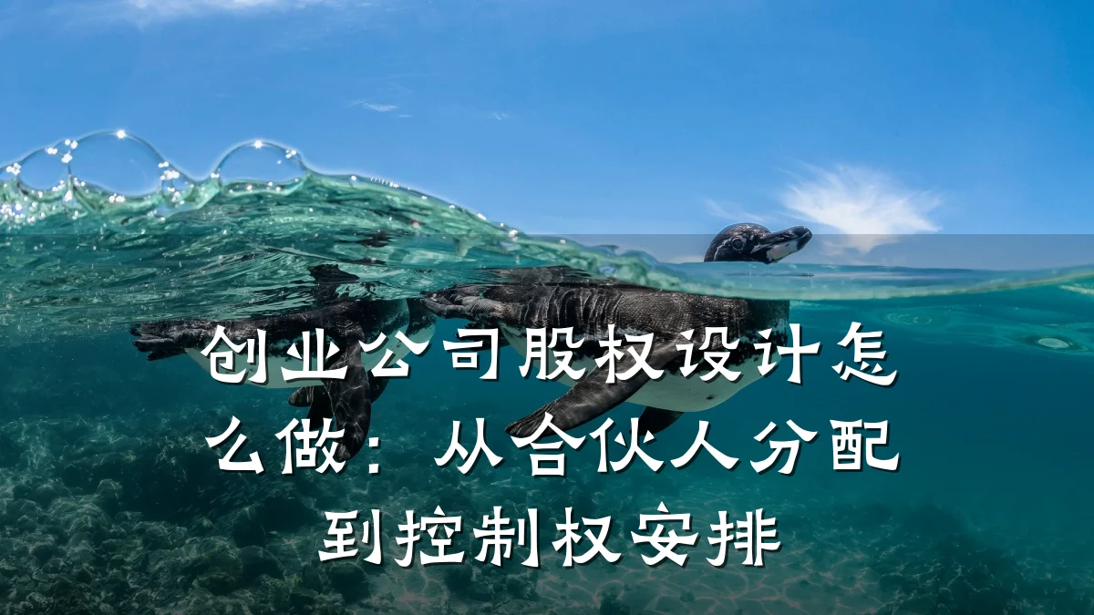 创业公司股权设计怎么做：从合伙人分配到控制权安排