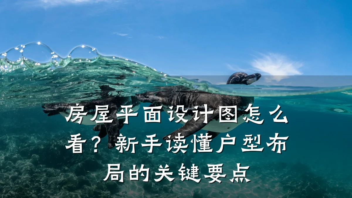 房屋平面设计图怎么看?新手读懂户型布局的关键要点