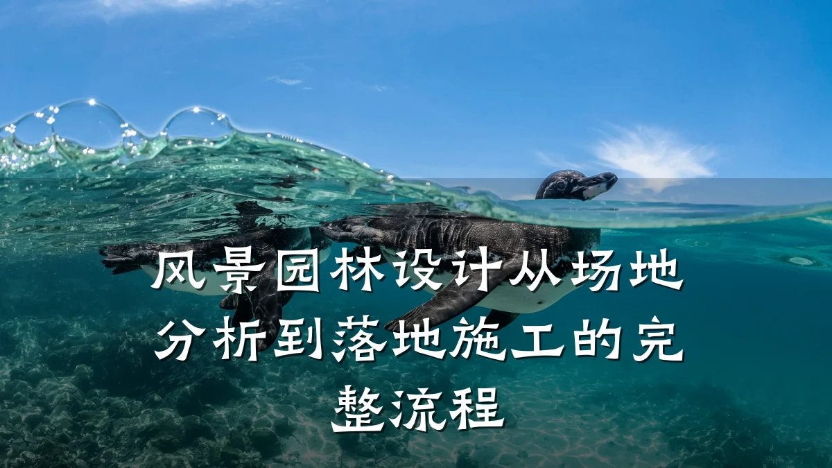 风景园林设计从场地分析到落地施工的完整流程