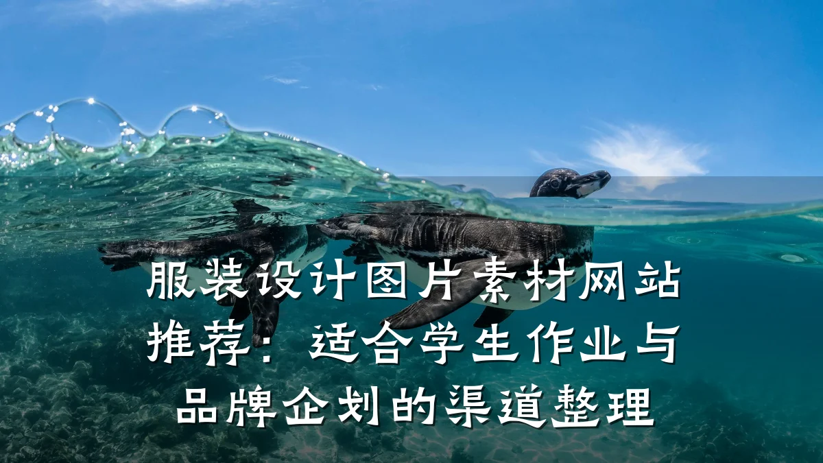 服装设计图片素材网站推荐:适合学生作业与品牌企划的渠道整理