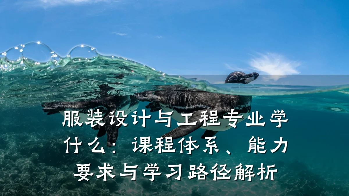 服装设计与工程专业学什么：课程体系、能力要求与学习路径解析