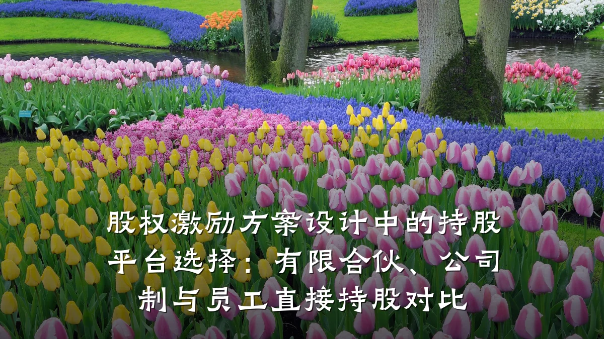股权激励方案设计中的持股平台选择:有限合伙、公司制与员工直接持股对比