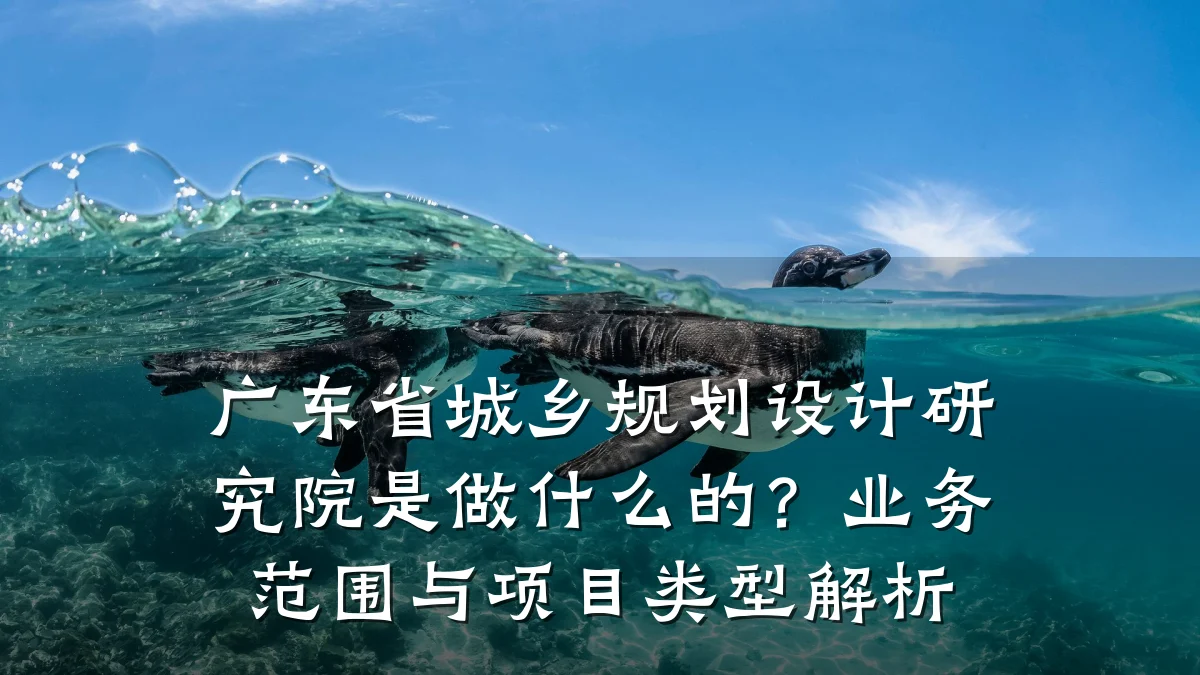 广东省城乡规划设计研究院是做什么的?业务范围与项目类型解析