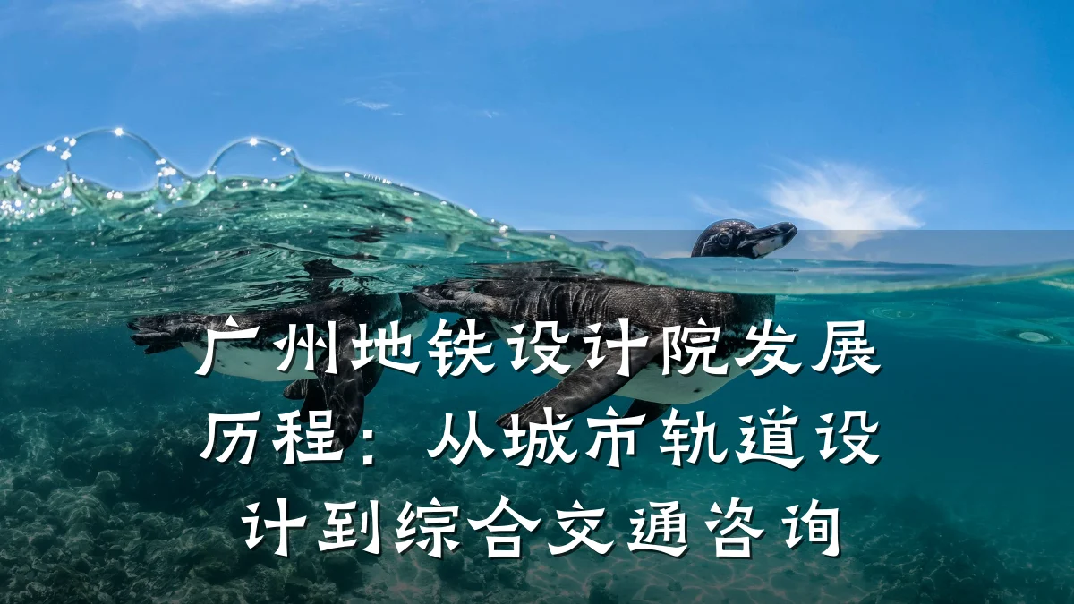 广州地铁设计院发展历程：从城市轨道设计到综合交通咨询