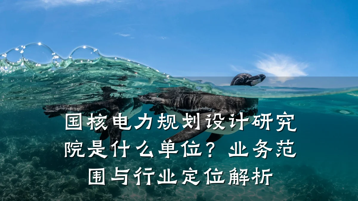 国核电力规划设计研究院是什么单位?业务范围与行业定位解析