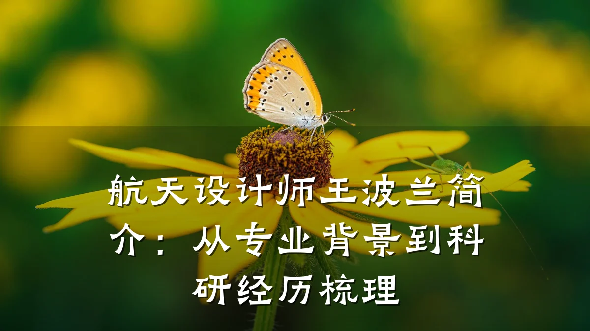 航天设计师王波兰简介:从专业背景到科研经历梳理