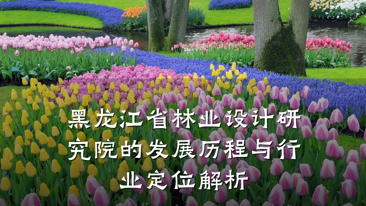 黑龙江省林业设计研究院的发展历程与行业定位解析