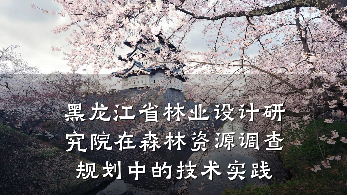 黑龙江省林业设计研究院在森林资源调查规划中的技术实践