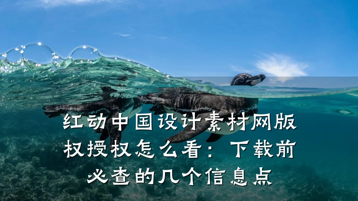 红动中国设计素材网版权授权怎么看:下载前必查的几个信息点