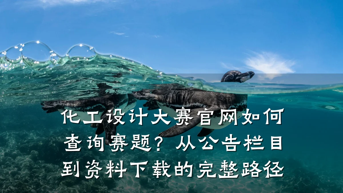 化工设计大赛官网如何查询赛题?从公告栏目到资料下载的完整路径