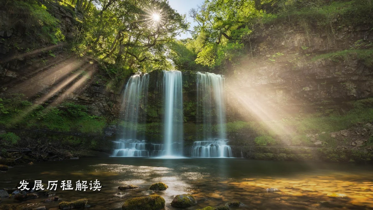 发展历程解读
