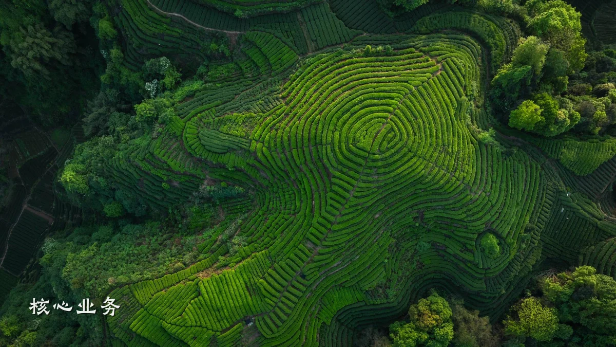 核心业务