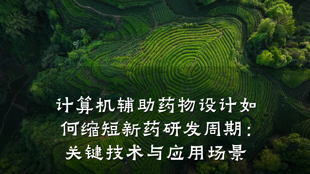 计算机辅助药物设计如何缩短新药研发周期:关键技术与应用场景