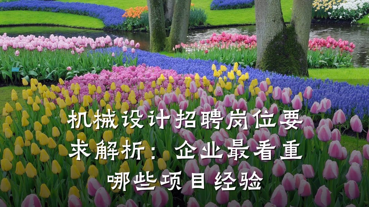 机械设计招聘岗位要求解析:企业最看重哪些项目经验