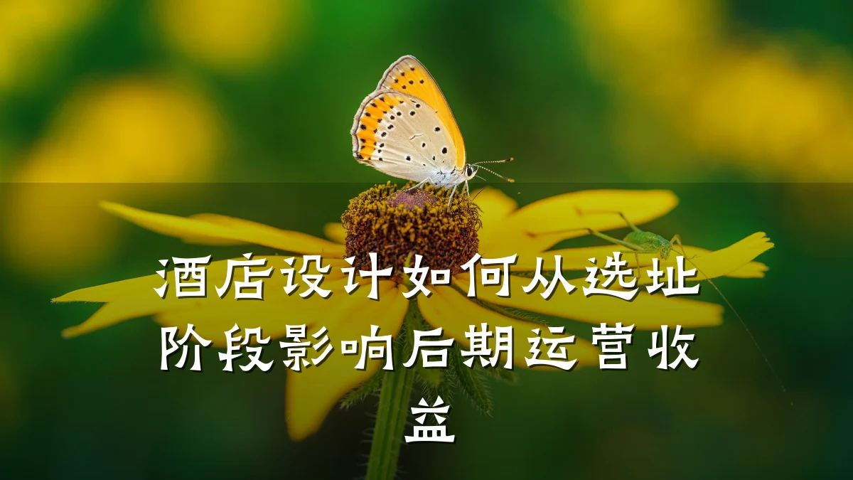 酒店设计如何从选址阶段影响后期运营收益