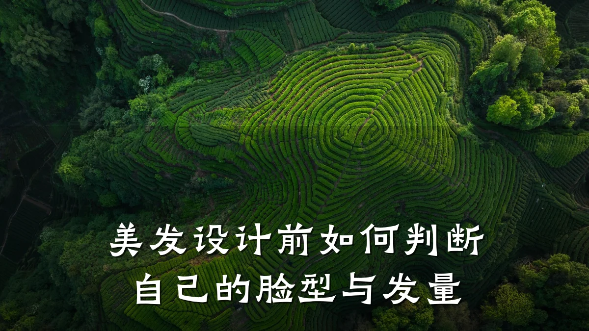 美发设计前如何判断自己的脸型与发量