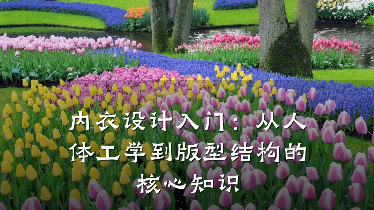 内衣设计入门:从人体工学到版型结构的核心知识