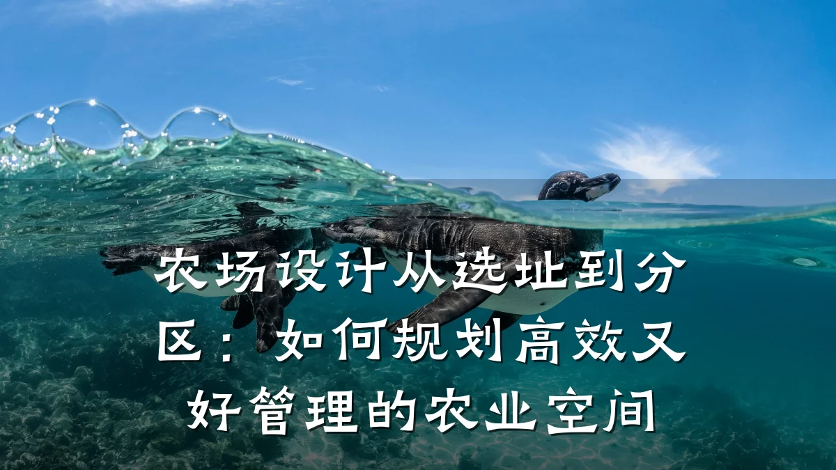农场设计从选址到分区:如何规划高效又好管理的农业空间