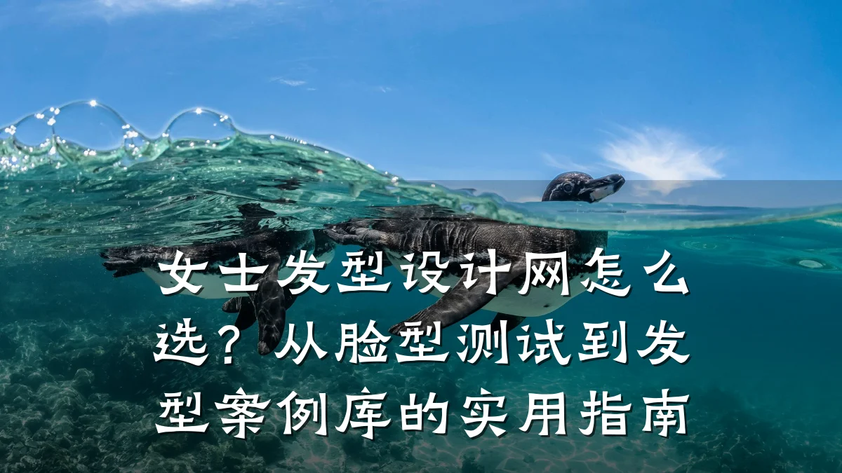 女士发型设计网怎么选?从脸型测试到发型案例库的实用指南