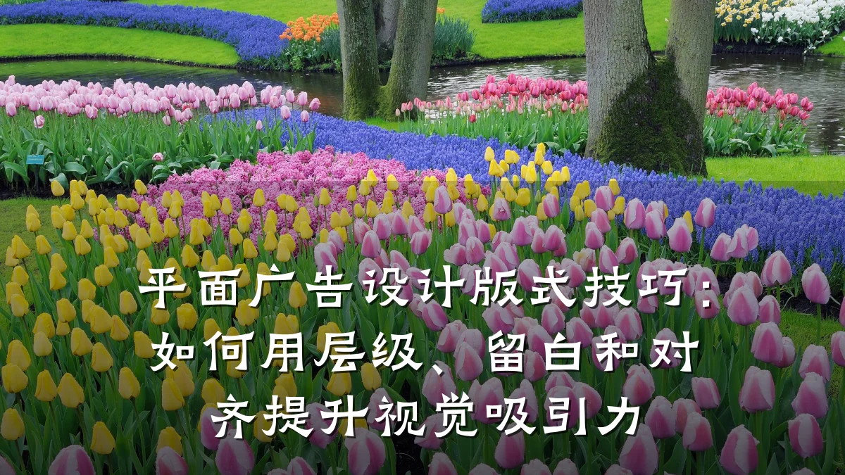 平面广告设计版式技巧:如何用层级、留白和对齐提升视觉吸引力