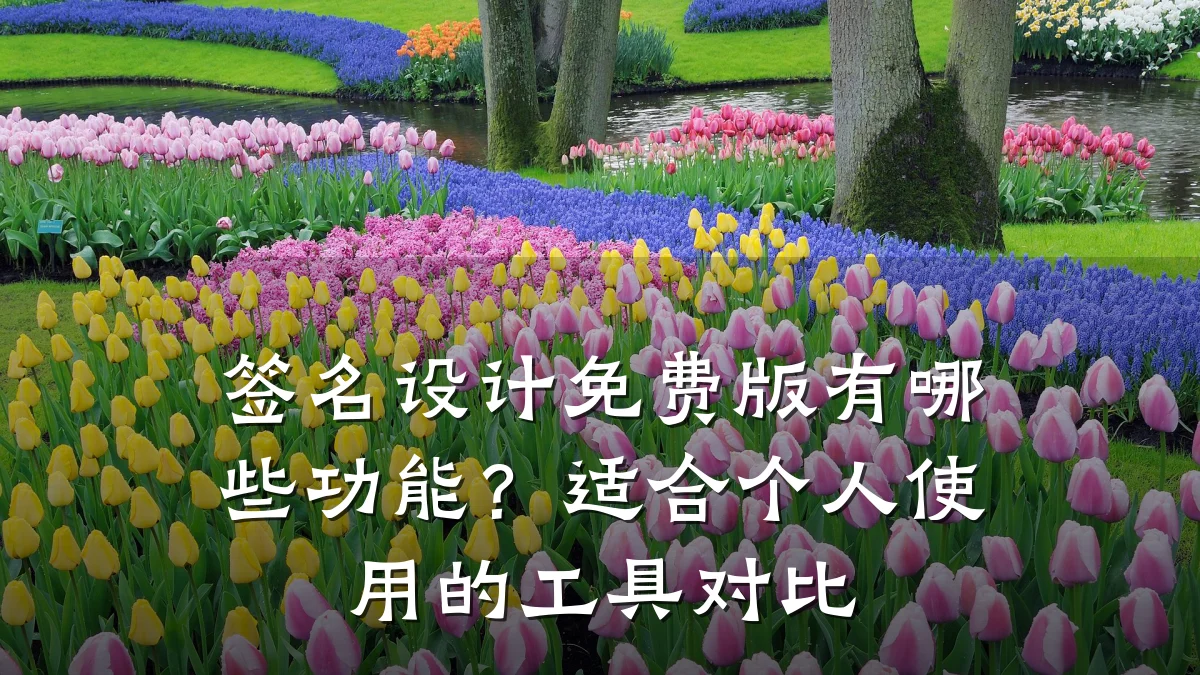 签名设计免费版有哪些功能?适合个人使用的工具对比