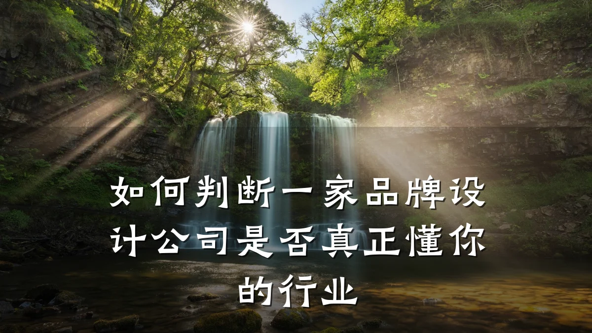 如何判断一家品牌设计公司是否真正懂你的行业