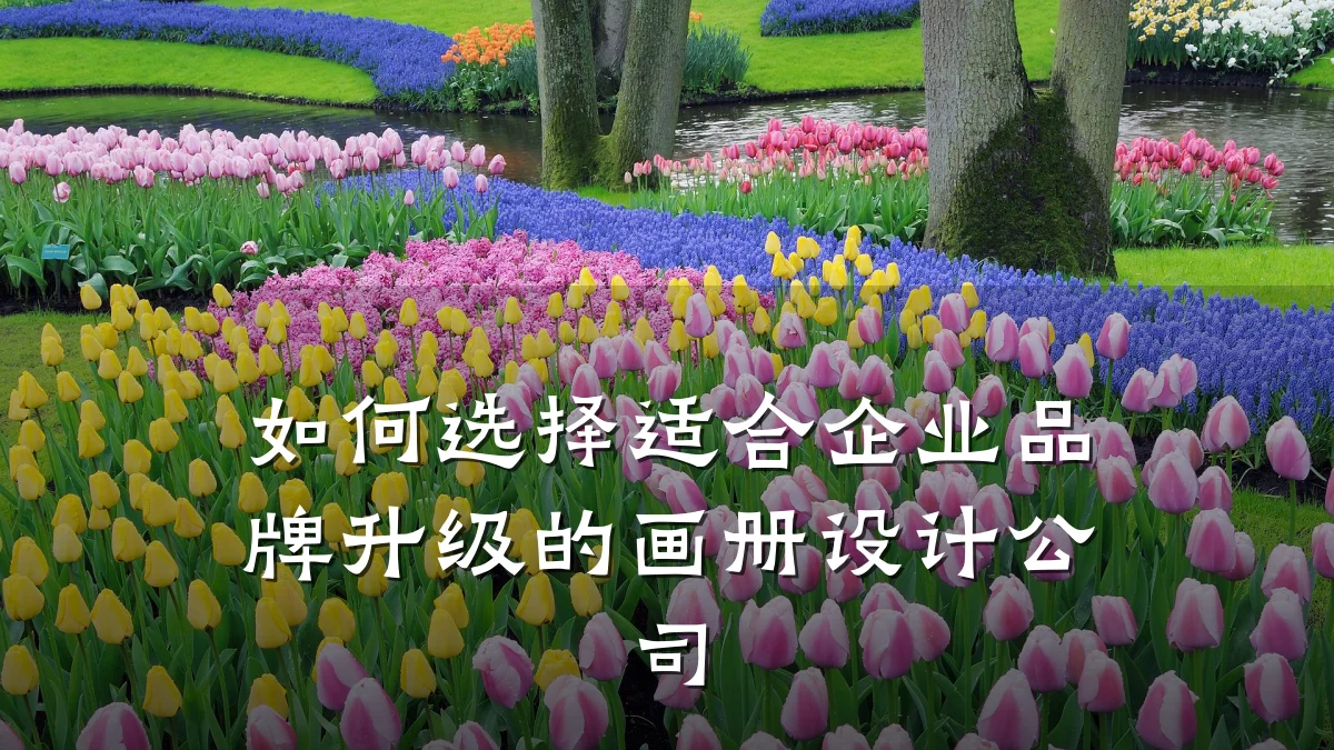 如何选择适合企业品牌升级的画册设计公司