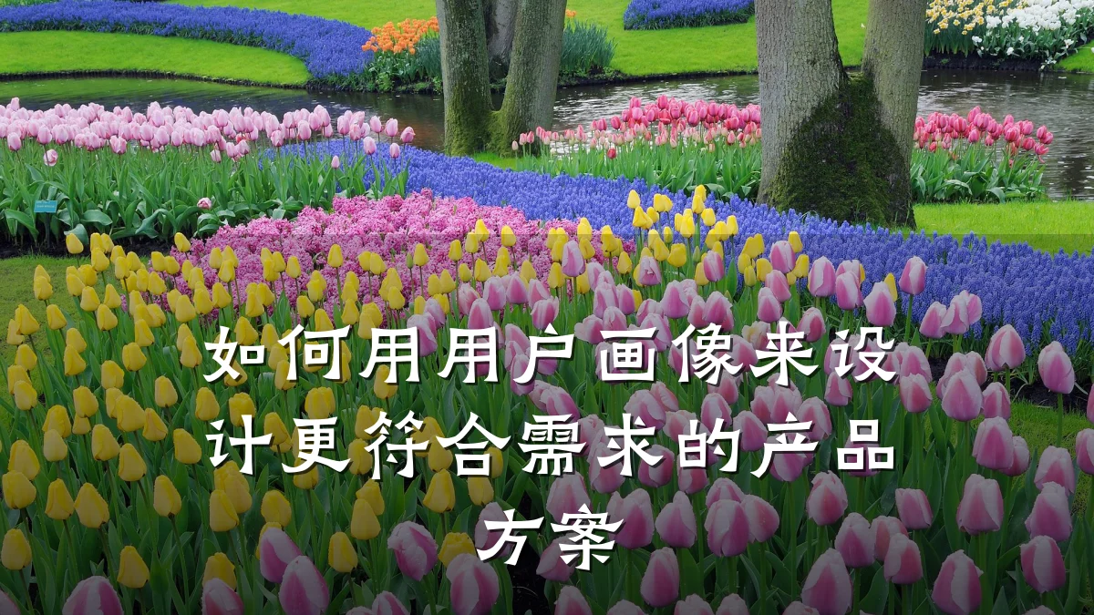 如何用用户画像来设计更符合需求的产品方案
