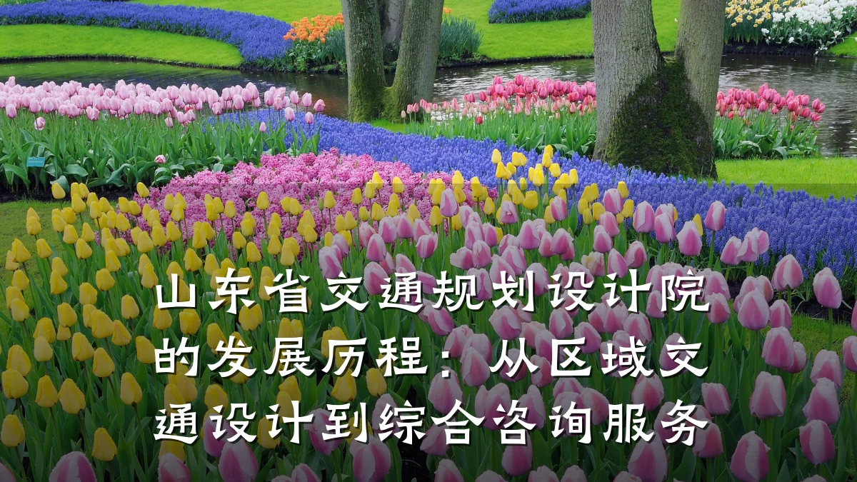 山东省交通规划设计院的发展历程:从区域交通设计到综合咨询服务