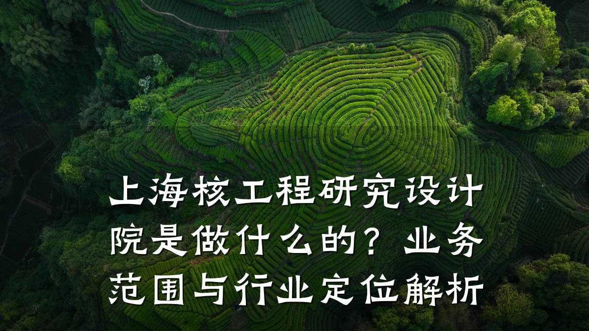上海核工程研究设计院是做什么的?业务范围与行业定位解析