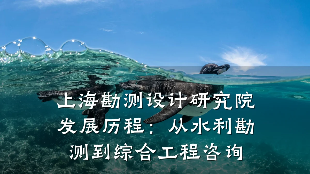 上海勘测设计研究院发展历程:从水利勘测到综合工程咨询