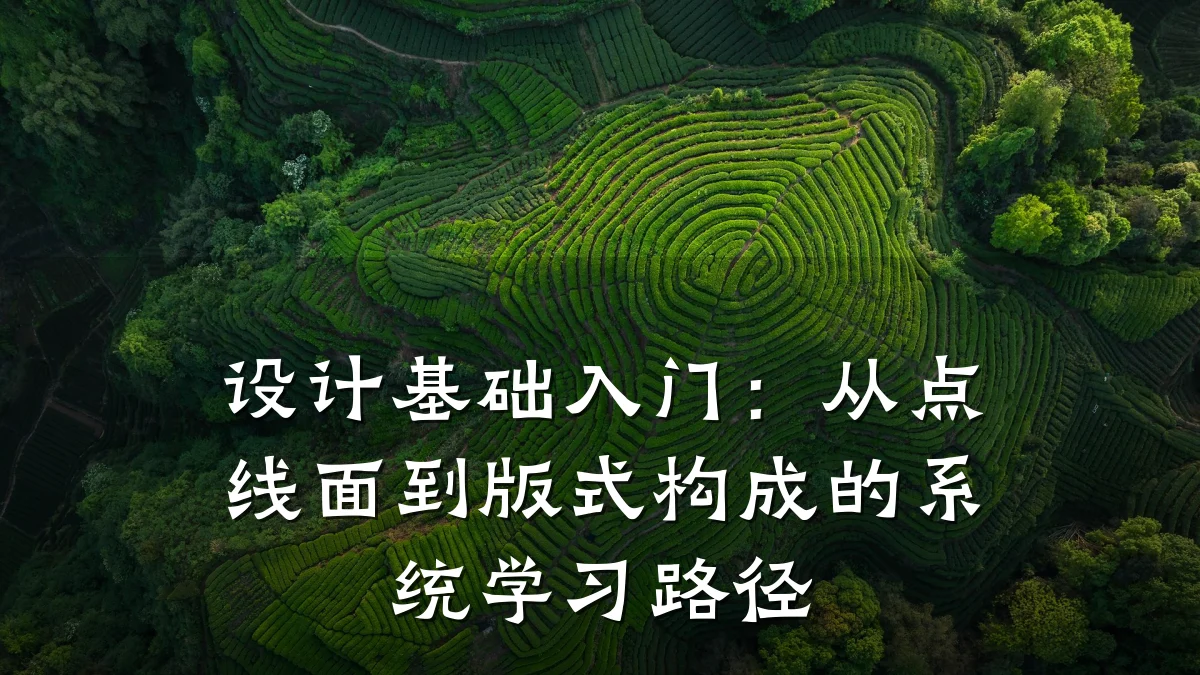 设计基础入门:从点线面到版式构成的系统学习路径