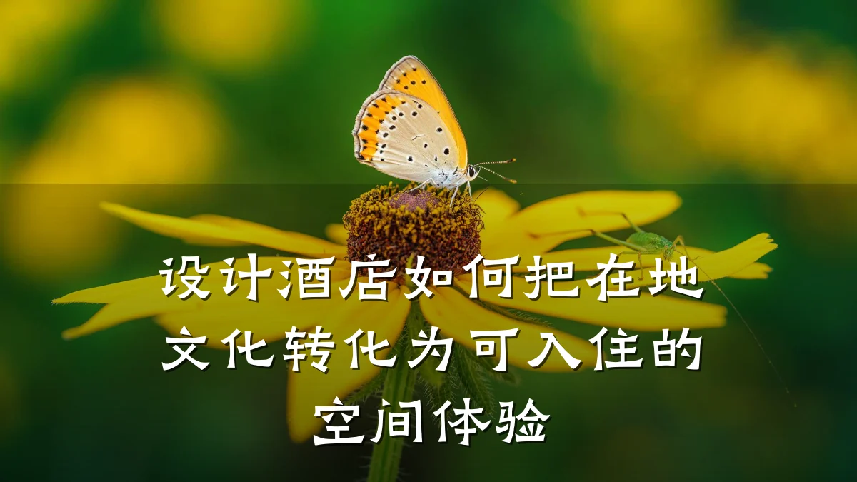 设计酒店如何把在地文化转化为可入住的空间体验