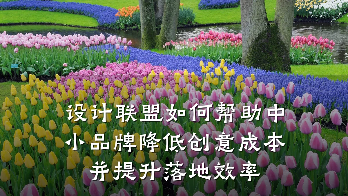 设计联盟如何帮助中小品牌降低创意成本并提升落地效率