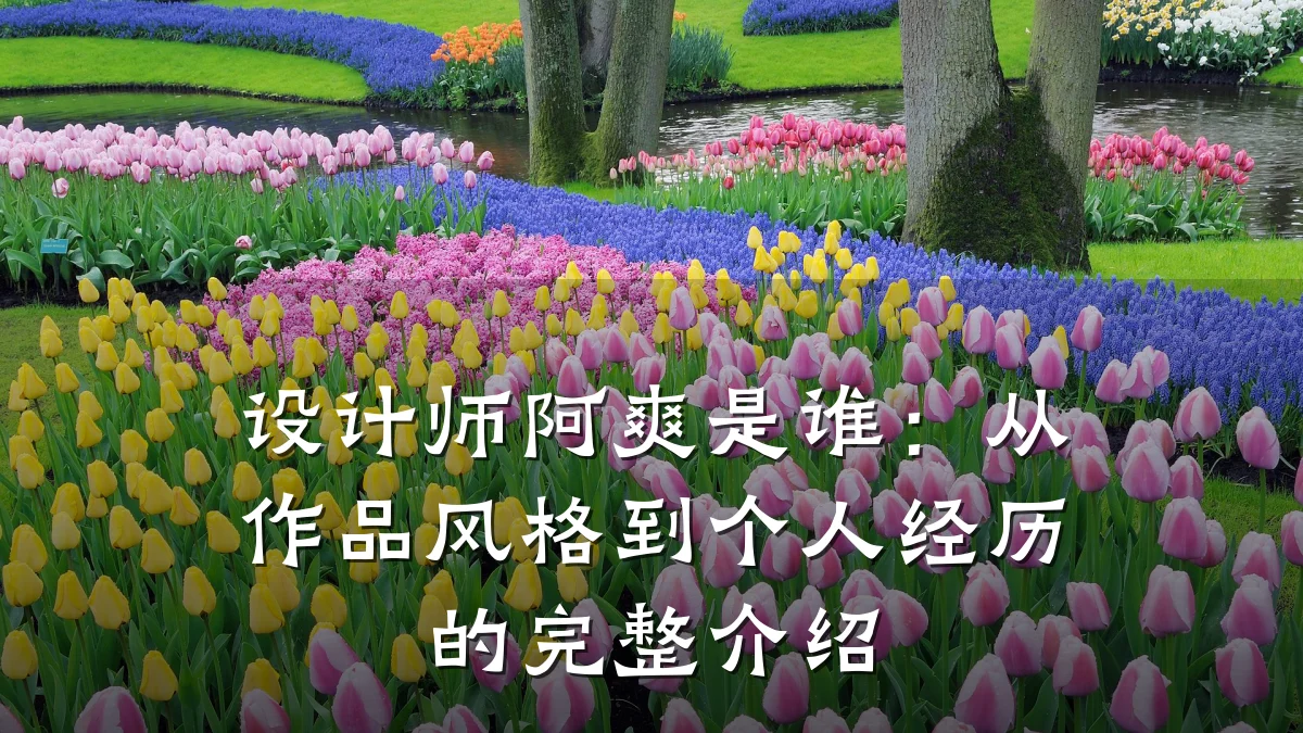 设计师阿爽是谁:从作品风格到个人经历的完整介绍
