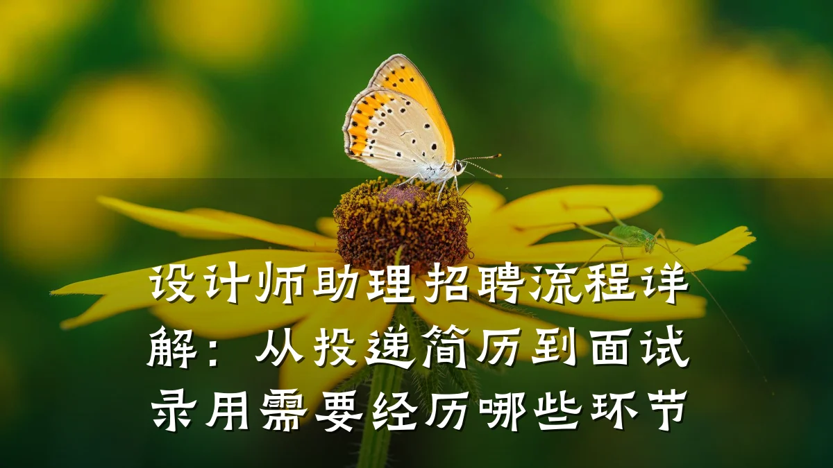 设计师助理招聘流程详解:从投递简历到面试录用需要经历哪些环节