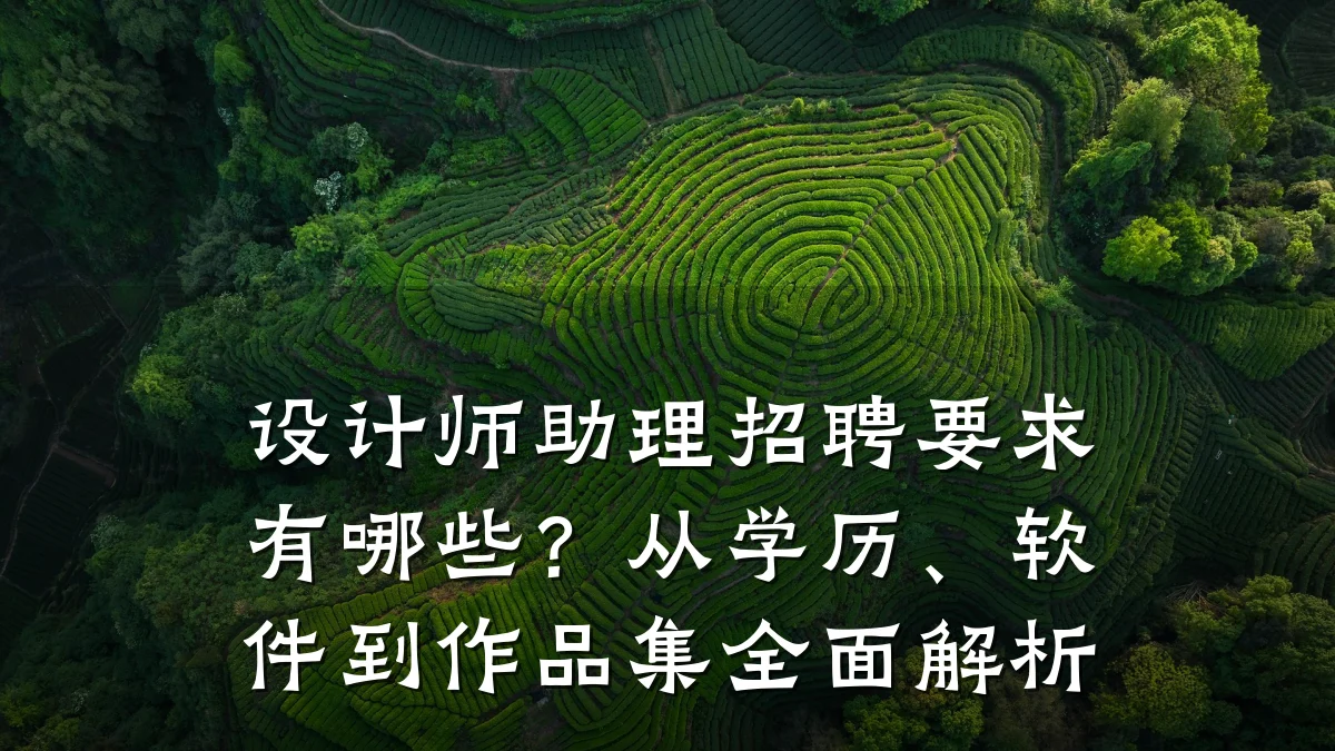 设计师助理招聘要求有哪些?从学历、软件到作品集全面解析