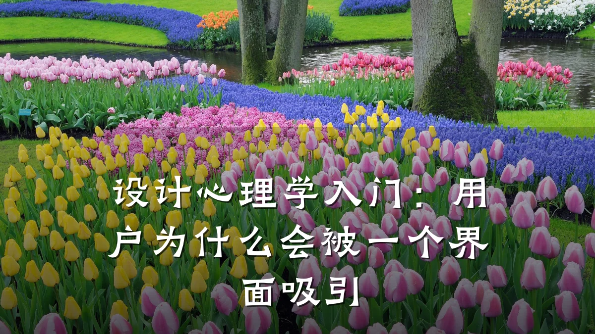 设计心理学入门:用户为什么会被一个界面吸引
