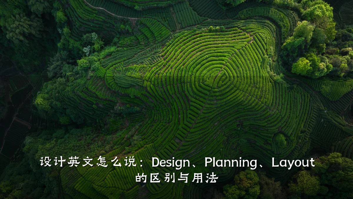 设计英文怎么说:Design、Planning、Layout 的区别与用法