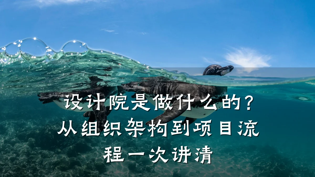 设计院是做什么的?从组织架构到项目流程一次讲清
