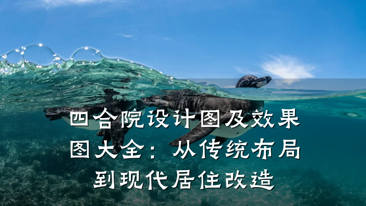 四合院设计图及效果图大全:从传统布局到现代居住改造