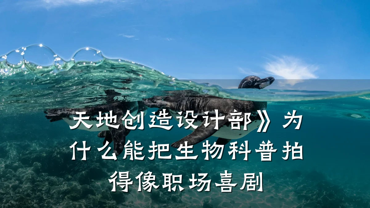 天地创造设计部》为什么能把生物科普拍得像职场喜剧