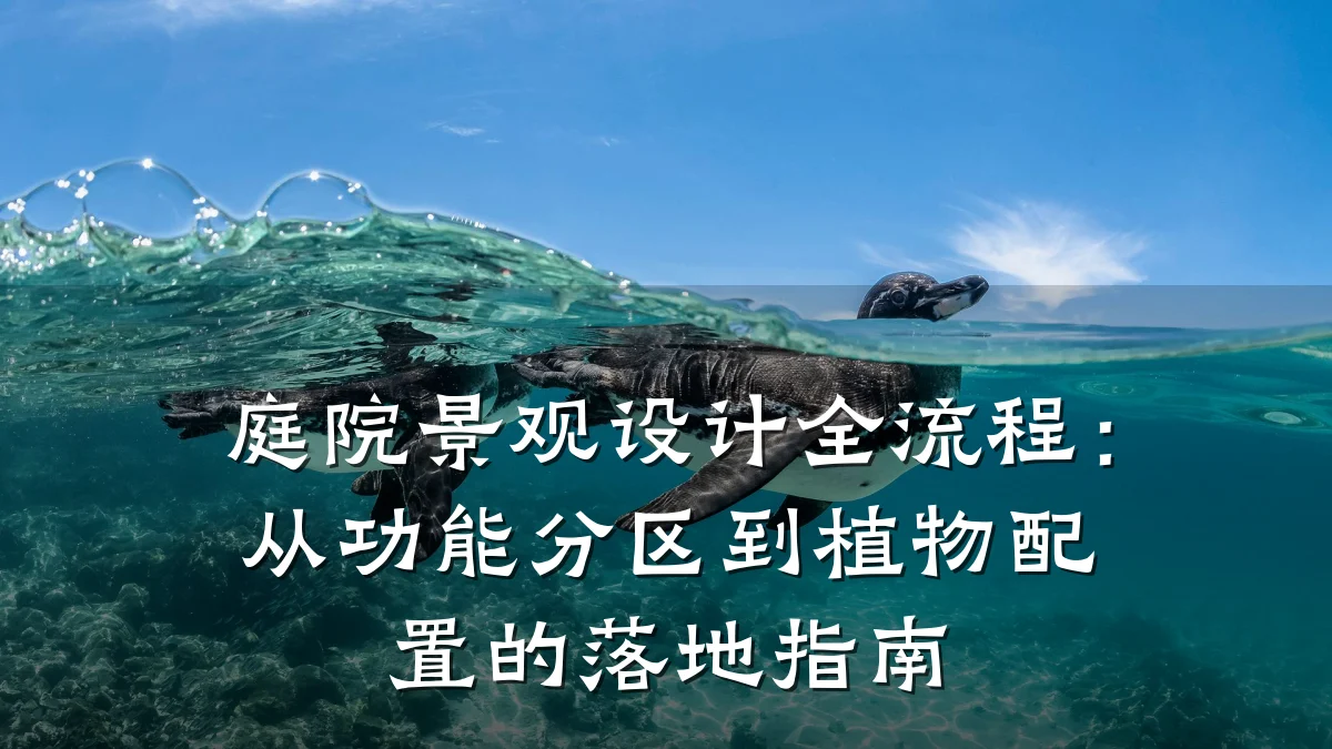 庭院景观设计全流程:从功能分区到植物配置的落地指南