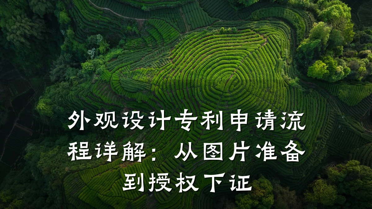 外观设计专利申请流程详解:从图片准备到授权下证
