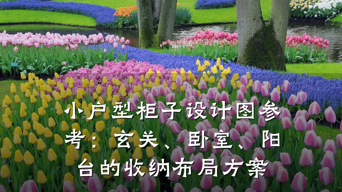 小户型柜子设计图参考:玄关、卧室、阳台的收纳布局方案